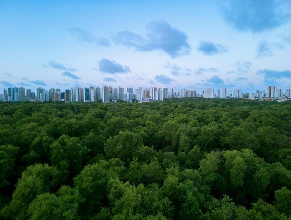 Panneau solaire photovoltaïque : votre énergie durable garantie